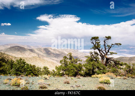La vue depuis le pic de Wildrose Panamint Range de Death Valley National Park, California Banque D'Images