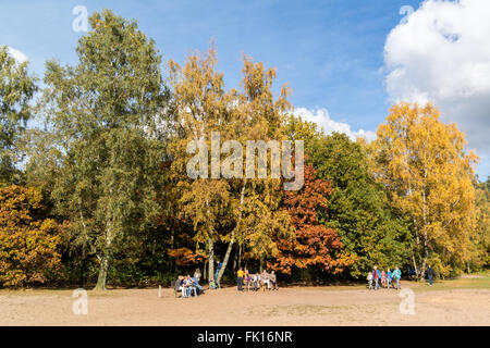 Personnes à pied et se détendre dans les bois d'Utrechtse Heuvelrug près de Doorn aux Pays-Bas sur un dimanche ensoleillé en automne Banque D'Images