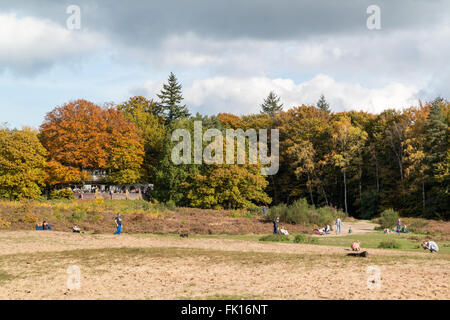 Les gens qui marchent et reposant sur un dimanche ensoleillé à l'automne dans les bois de l'Utrechtse Heuvelrug à Doorn, Pays-Bas Banque D'Images