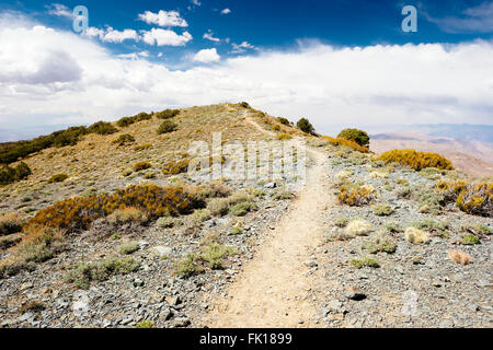 Sentier de Crête Wildrose dans Death Valley National Park, Californie Banque D'Images