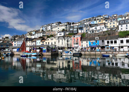 L'été, des bateaux de pêche dans le port de Brixham Brixham, ville, Torbay, French Riviera, comté de Devon, England, UK Banque D'Images
