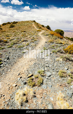 Sentier de Crête Wildrose dans Death Valley National Park, Californie Banque D'Images