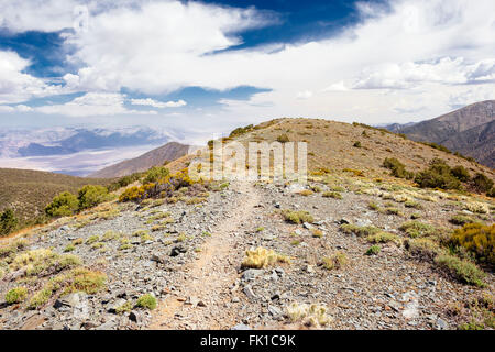 Sentier de Crête Wildrose dans Death Valley National Park, Californie Banque D'Images