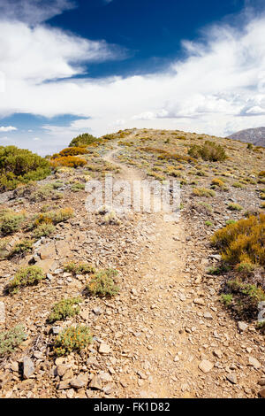Sentier de Crête Wildrose dans Death Valley National Park, Californie Banque D'Images
