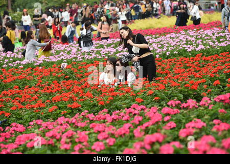 Guangzhou, la province chinoise du Guangdong. 5e Mar, 2016. Les touristes prendre des selfies fleurs à un parc dans Guangzhou, capitale du sud de la province chinoise du Guangdong, le 5 mars 2016. © Liu Dawei/Xinhua/Alamy Live News Banque D'Images