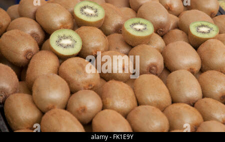 fruits kiwi Banque D'Images