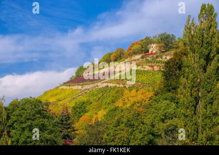 Saale Unstrut Weinberge im Herbst - vignobles Saale Unstrut en Allemagne à l'automne Banque D'Images