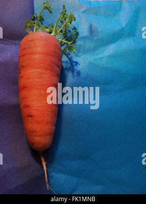 Les carottes avec les sommets. Sur un fond coloré Banque D'Images