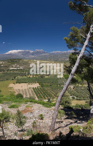 Vue sur la campagne depuis le site archéologique de Phaestos, Crète, Grèce. Banque D'Images