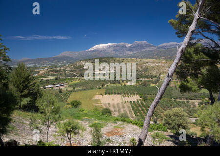 Vue sur la campagne depuis le site archéologique de Phaestos, Crète, Grèce. Banque D'Images