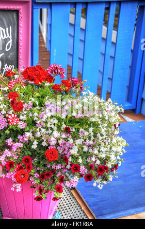 Pot de Fleurs, Fisherman's Wharf, Victoria, île de Vancover, British Columbia, Canada Banque D'Images