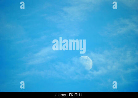 La demi-lune en Floride Banque D'Images