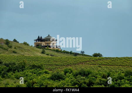 Maison de beauté et vignoble dans la région de Melnik, la Bulgarie. Banque D'Images