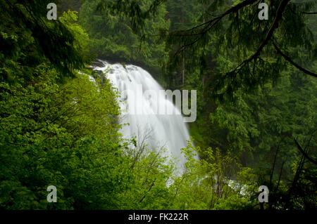 Gatch' Falls, Mt Jefferson Wilderness, forêt nationale de Willamette, Oregon Banque D'Images