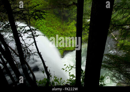 Gatch' Falls, Mt Jefferson Wilderness, forêt nationale de Willamette, Oregon Banque D'Images