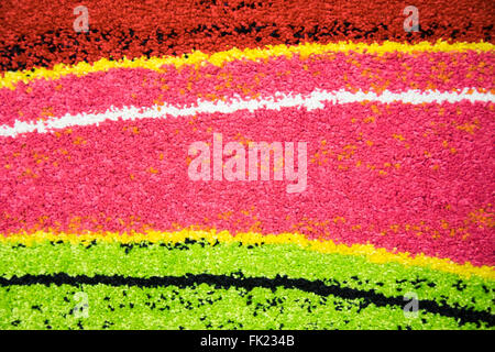 Détail de la trame de couleur d'un tapis de laine. Banque D'Images