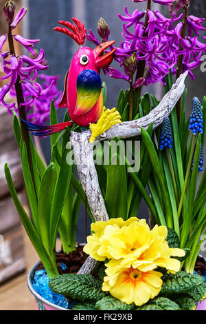Les petites fleurs de printemps en pot avec du parrot bird Banque D'Images