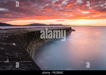 La Cobb, Lyme Regis Dorset - 6 mars 2016. Météo France : le mur du port historique de Cobb à Lyme Regis, dans le Dorset, avec un ciel rouge au-dessus de la côte spectaculaire de la Côte Jurassique instants avant le lever du soleil. Photo : Graham Hunt/Alamy Live News. Banque D'Images