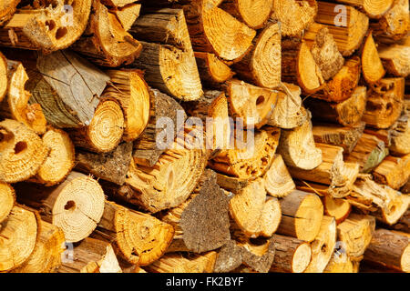 Résumé photo d'une pile de grumes en bois naturel contexte Banque D'Images