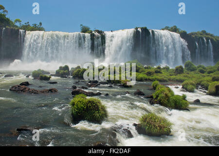 Une partie de l'Iguazu, vu depuis le côté brésilien, l'une des sept merveilles naturelles du monde Banque D'Images