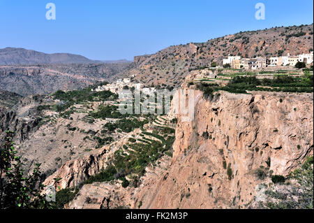 Sharayjah, Jebel Shams, terrasses de roses, Sultanat d'Oman Banque D'Images