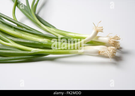 Bouquet d'Oignons de printemps sur fond blanc Banque D'Images