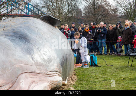 Des baleines échouées, un art performance pendant un art, Duisburger Akzente festival à Duisburg, Allemagne, au Rhin, Banque D'Images