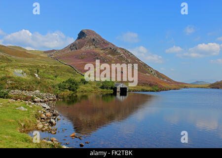 Paysage autour du lac de Cregennan et Gwynedd au Pays de Galles Cadair Idris Banque D'Images