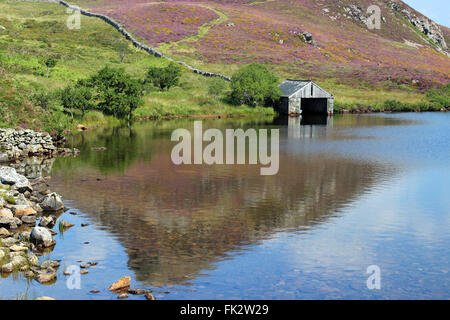 Paysage autour du lac de Cregennan et Gwynedd au Pays de Galles Cadair Idris Banque D'Images