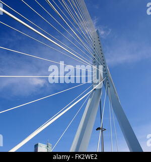 Pylône central et les câbles du pont Erasmus (Erasmusbrug), Rotterdam, Pays-Bas. Ben van Berkel, UNStudio, 1996 Banque D'Images