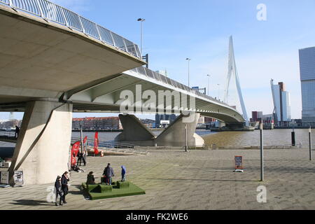 Célèbre pont Erasmus (Erasmusbrug), Rotterdam, Pays-Bas. Conçu par Ben van Berkel, UNStudio, 1996 Banque D'Images