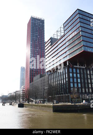 Le Red Apple, un gratte-ciel résidentiel de 124 m de haut à Wijnhaven à Rotterdam, Pays-Bas, conçu par les architectes et urbanistes KCAP Banque D'Images