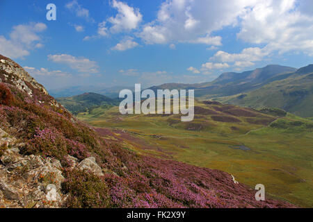 Paysage autour du lac de Cregennan et Gwynedd au Pays de Galles Cadair Idris Banque D'Images