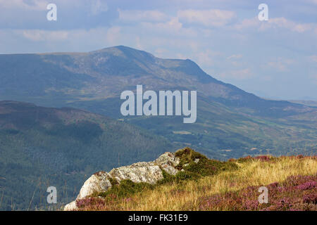 Vue vers Diffwys Cregennan du lac de montagne Cadair Idris et Gwynedd au Pays de Galles Banque D'Images
