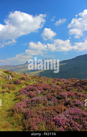 Paysage autour du lac de Cregennan et Gwynedd au Pays de Galles Cadair Idris Banque D'Images