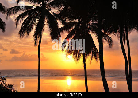 Lever du soleil sur la mer avec des palmiers sur la plage, au Kenya Banque D'Images