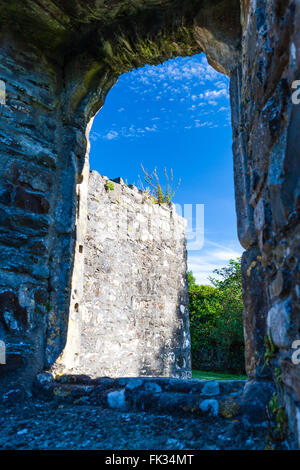 Mellifont, dans le comté de Louth, Ireland - Le 25 août 2010 : Mellifont fut la première abbaye cistercienne construite en Irlande. Banque D'Images