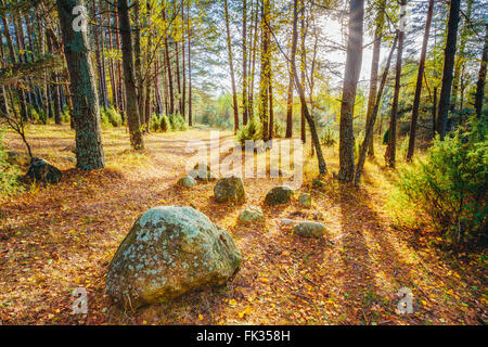 Coucher du soleil lever du soleil sur les pierres, les roches à partir de l'âge de glace dans la belle forêt d'automne sauvage. Banque D'Images