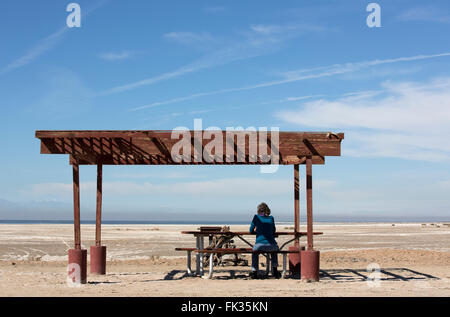 Une femme est assise seule à une aire de pique-nique loin de la rive de la mer de Salton, California USA Banque D'Images