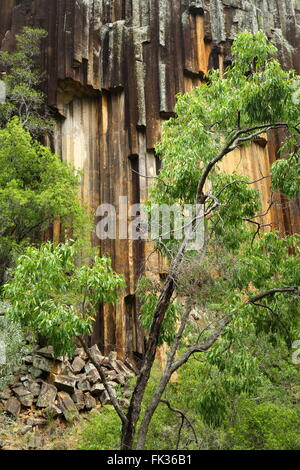 'Awn Rocks' dans Kaputar National Park près de Narrabri, NSW, Australie. Cette caractéristique géologique est appelée "tuyaux d'orgue" Banque D'Images