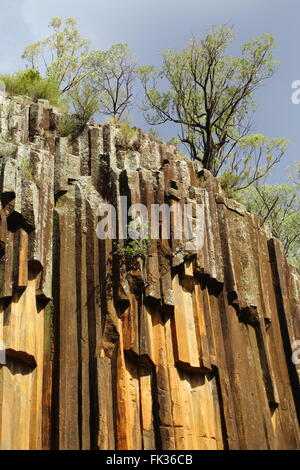 'Awn Rocks' dans Kaputar National Park près de Narrabri, NSW, Australie. Cette caractéristique géologique est appelée "tuyaux d'orgue" Banque D'Images