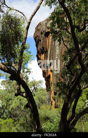 'Awn Rocks' dans Kaputar National Park près de Narrabri, NSW, Australie. Cette caractéristique géologique est appelée "tuyaux d'orgue" Banque D'Images