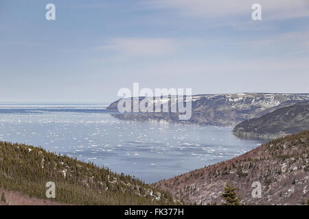 Vue sur l'océan Atlantique au printemps sur le Cabot Trail en Nouvelle-Écosse, côte est du Canada. Des morceaux de glace flottent dans l'w Banque D'Images