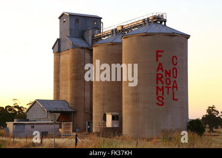 Les silos à grains sur les plaines de Liverpool, NSW, Australie. Les silos n'ont pas 'fermes' peint sur du charbon. Banque D'Images