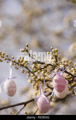 Les oeufs de pâques violette accroché sur un prunier en fleurs. Copie espace en haut Banque D'Images