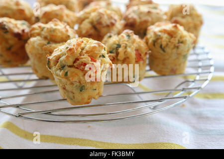 Mini muffins faits maison d'oeufs Mini quiche, selective focus Banque D'Images