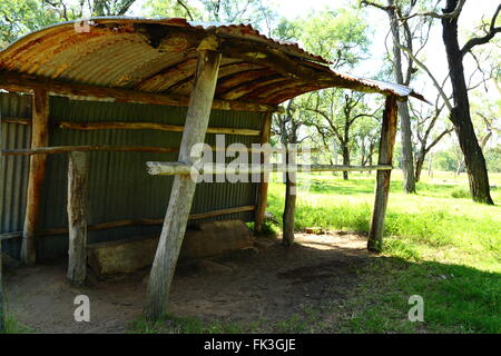 Un vieux hangar pour les selles et d'autres virer sur une ferme dans le Queensland, Australie. Banque D'Images