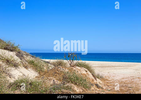 Dune de sable en face de l'océan Banque D'Images