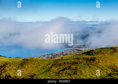 Matin brouillard sur le lac Taupo Banque D'Images