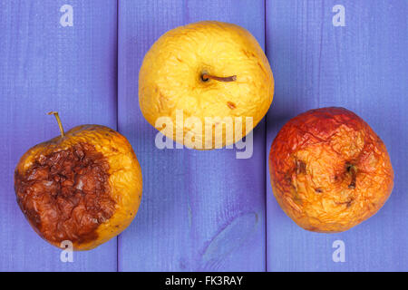 Vieille ridée les pommes avec de la moisissure sur les aliments malsains, violet Banque D'Images